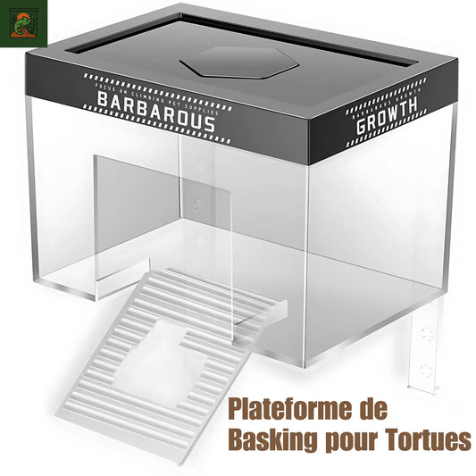 Plateforme de Basking pour Tortues – Transparent avec Rampe Antidérapante 