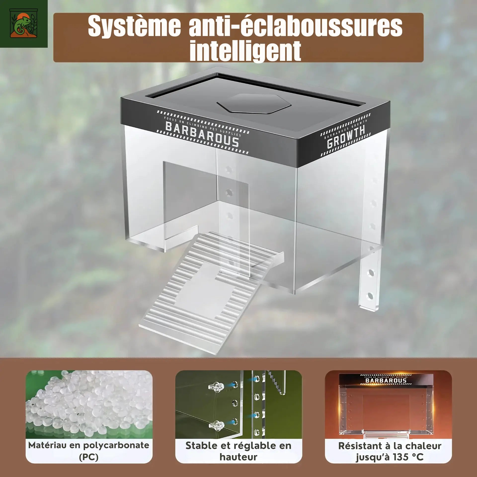 Plateforme de Basking pour Tortues – Transparent avec Rampe Antidérapante 