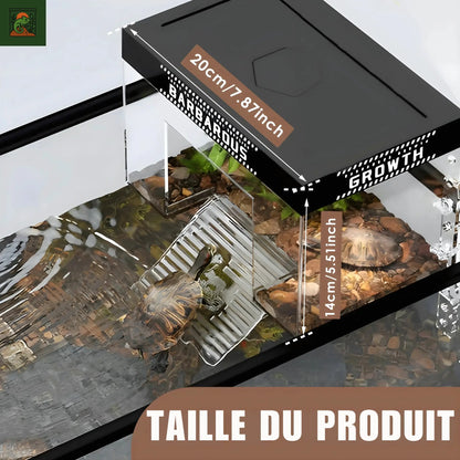 Plateforme de Basking pour Tortues – Transparent avec Rampe Antidérapante 