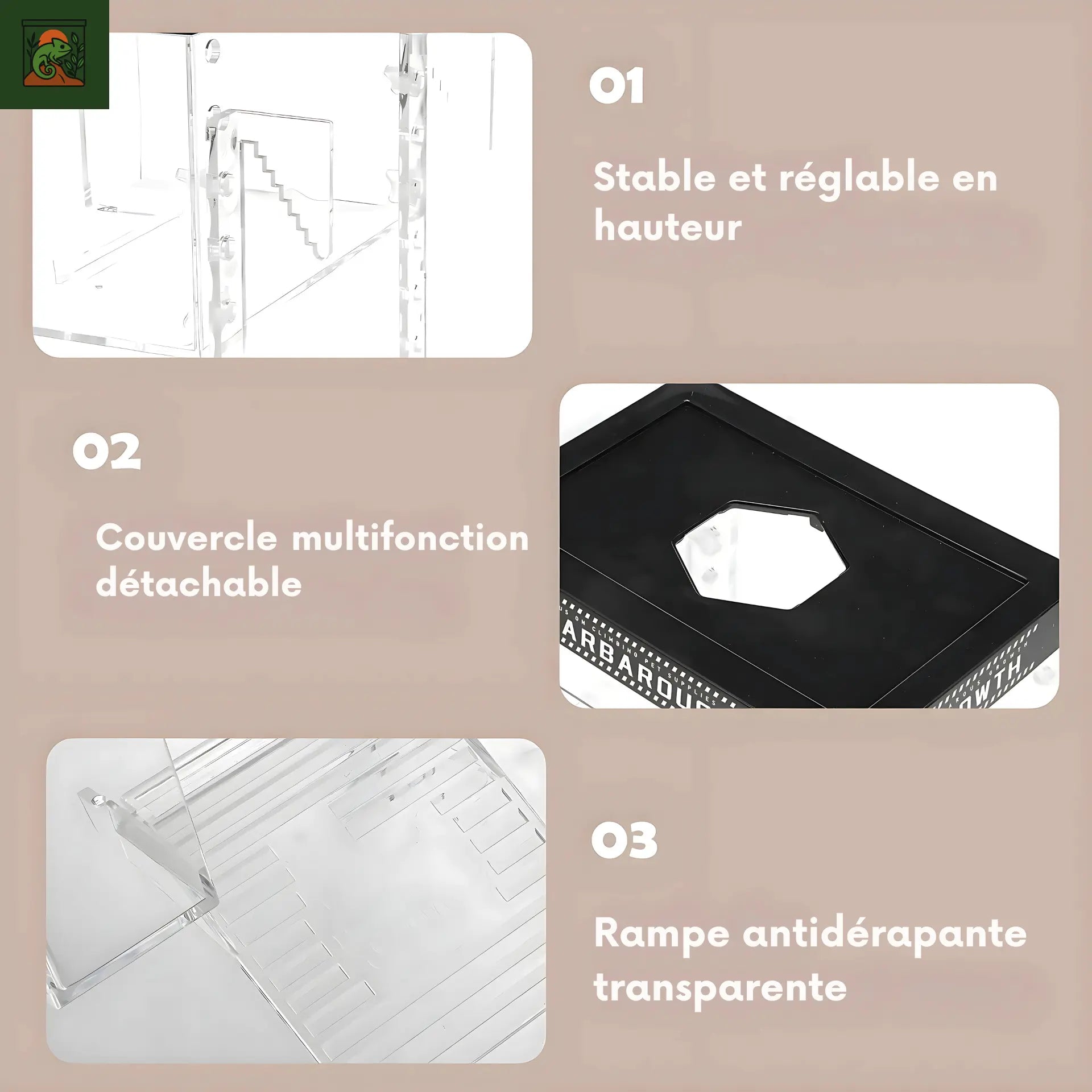 Plateforme de Basking pour Tortues – Transparent avec Rampe Antidérapante 