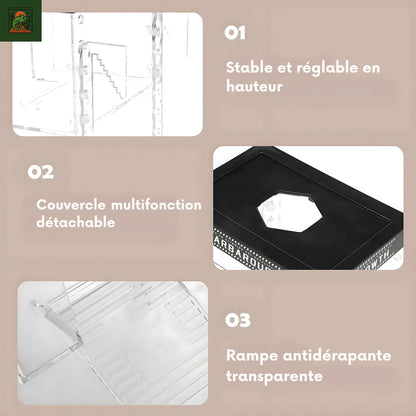 Plateforme de Basking pour Tortues – Transparent avec Rampe Antidérapante 