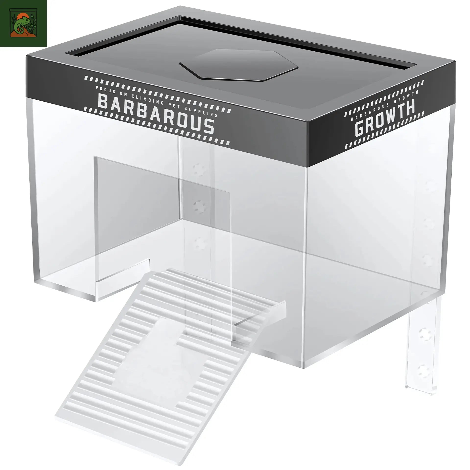 Plateforme de Basking pour Tortues – Transparent avec Rampe Antidérapante 