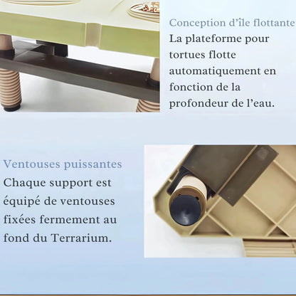 Plateforme pour Tortue – Rampe et Zone de Repos pour Terrarium 