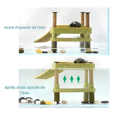 Plateforme pour Tortue – Rampe et Zone de Repos pour Terrarium 