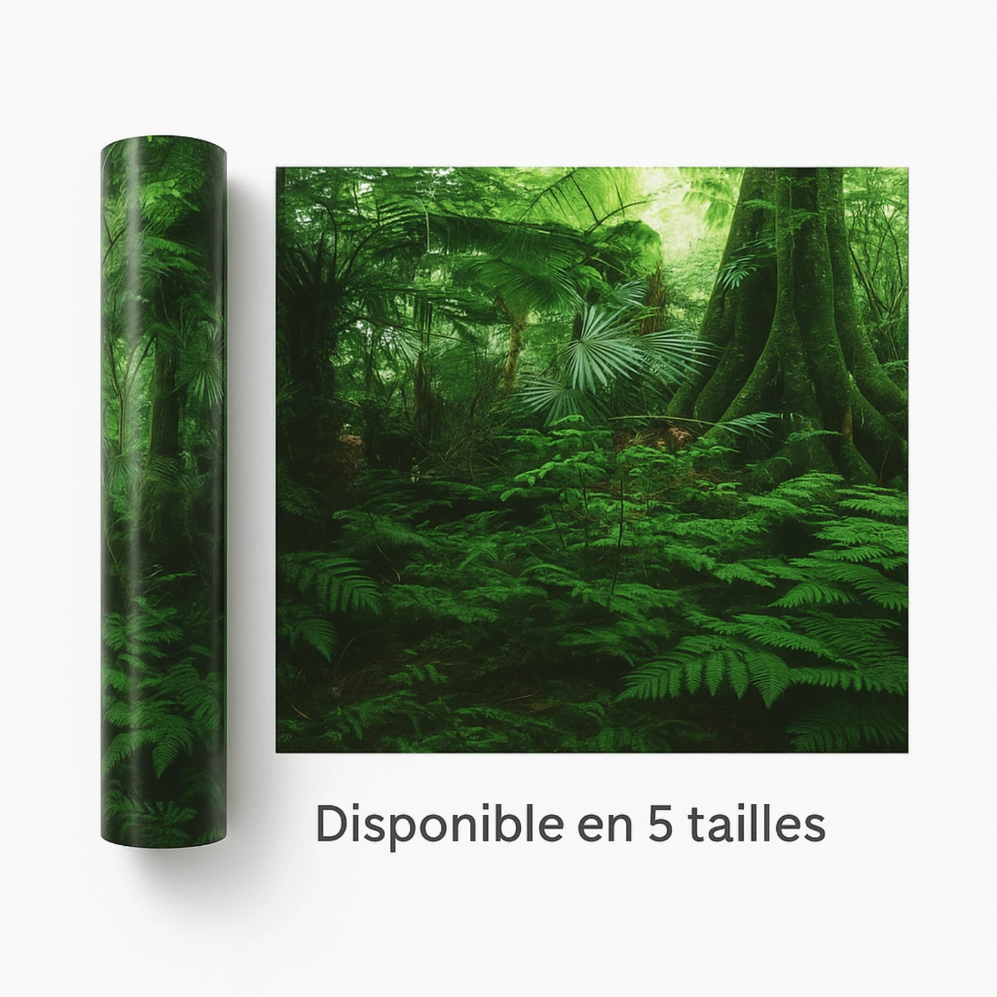 Poster de Fond 3D pour Terrarium 