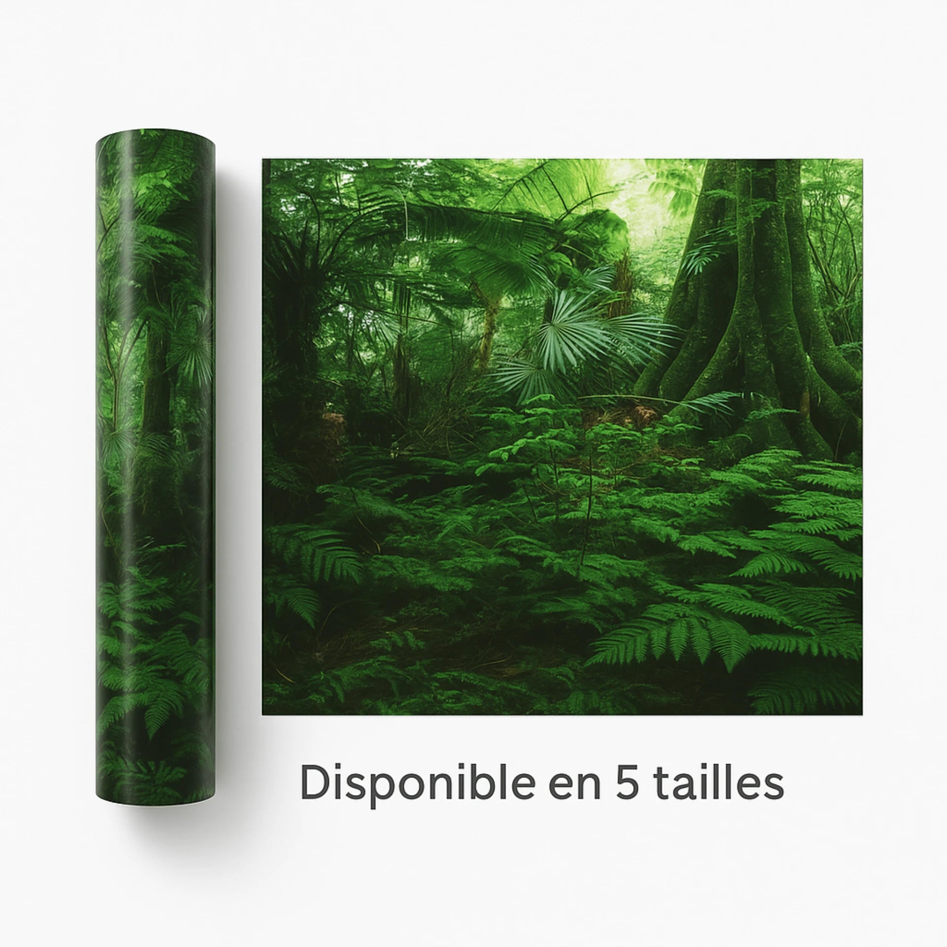 Poster de Fond 3D pour Terrarium 
