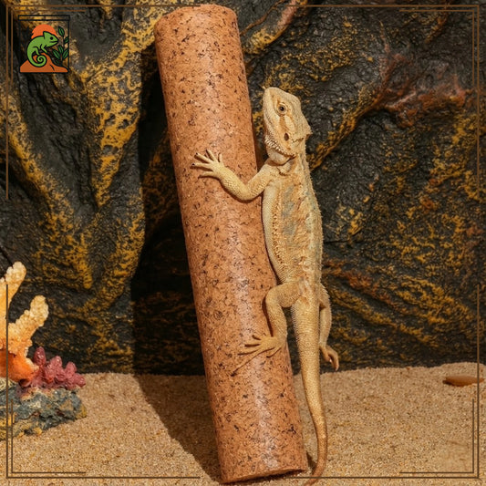 Poteau d’Escalade en Liège pour Terrarium 