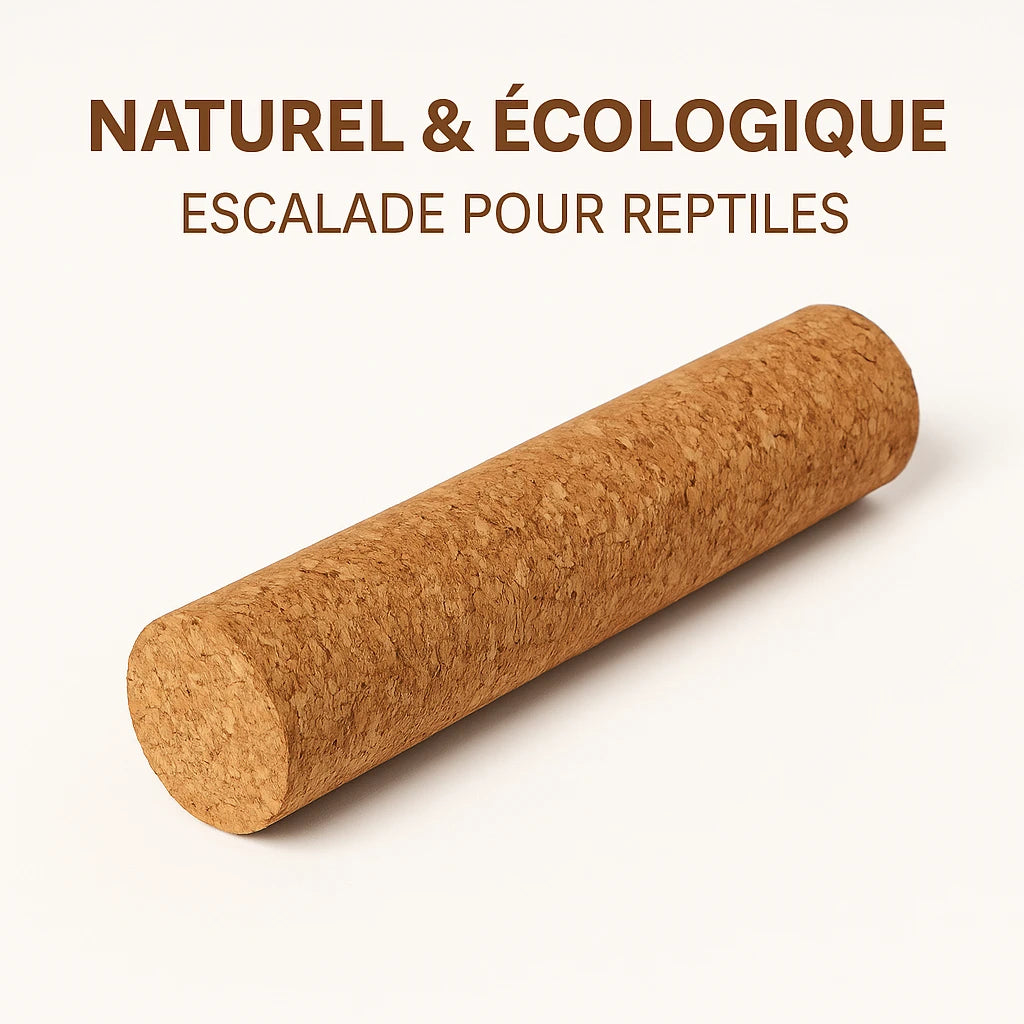 Poteau d’Escalade en Liège pour Terrarium – Naturel & Écologique 
