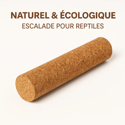 Poteau d’Escalade en Liège pour Terrarium – Naturel & Écologique 