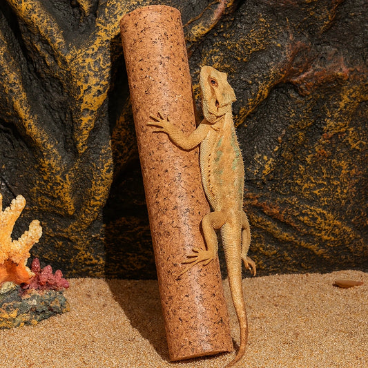 Poteau d’Escalade en Liège pour Terrarium – Naturel & Écologique 