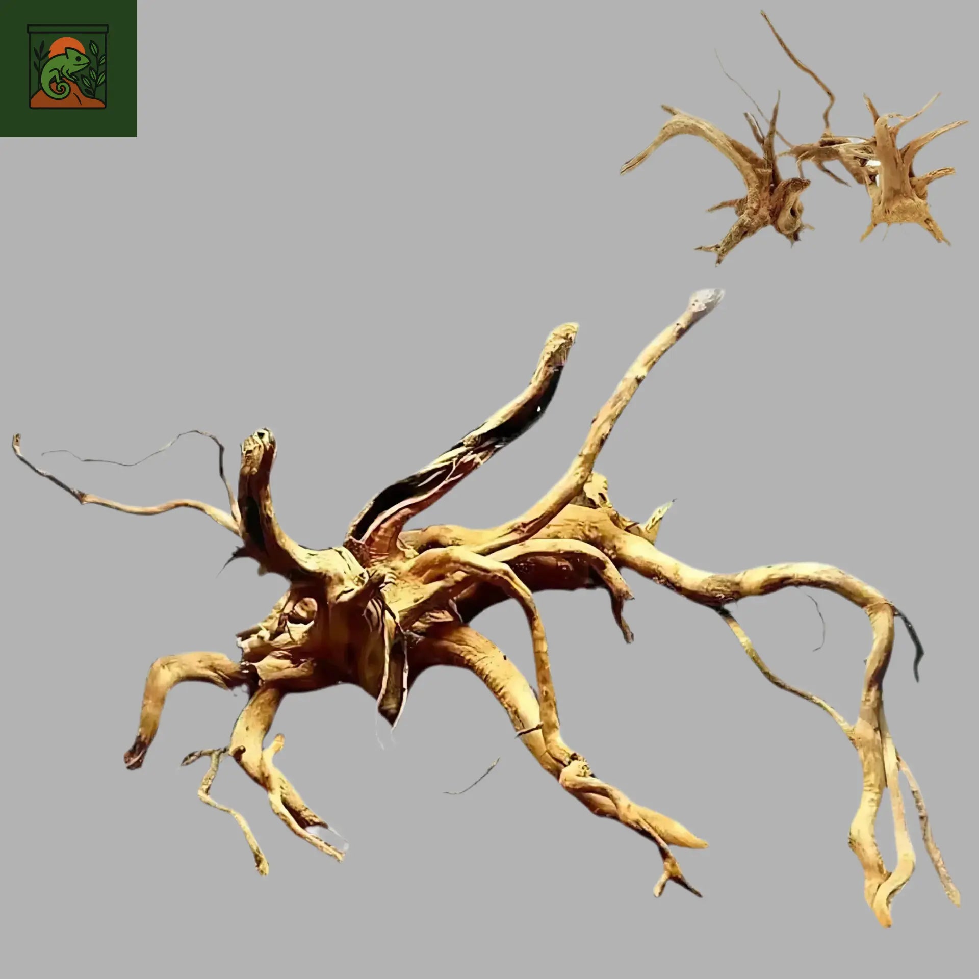 Racines Naturelles en Bois pour Terrarium 