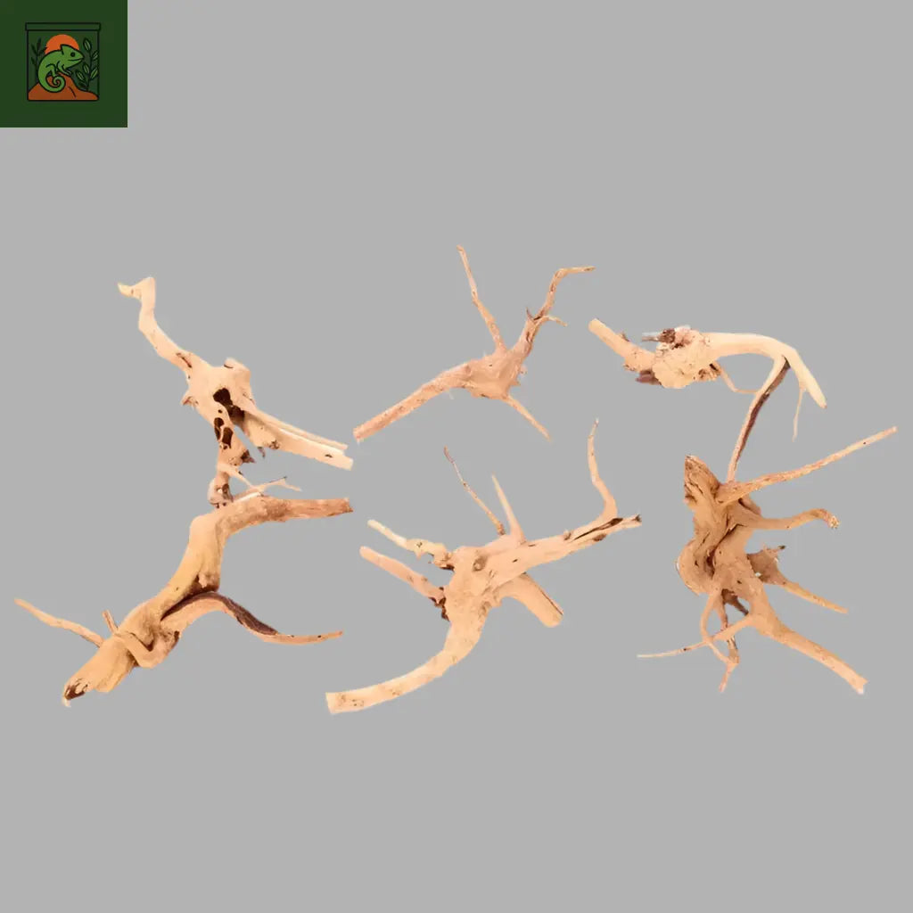 Racines Naturelles en Bois pour Terrarium 