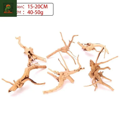 Terrarium amphibien araignée, bois, paysage, plante d'aquarium, décoration en bois, tronc d'arbre naturel, décor en bois flotté, lézard 
