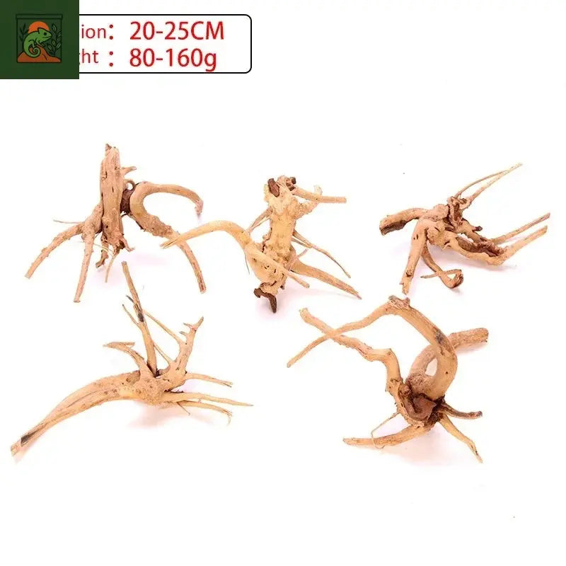 Terrarium amphibien araignée, bois, paysage, plante d'aquarium, décoration en bois, tronc d'arbre naturel, décor en bois flotté, lézard 