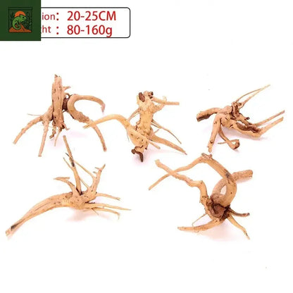 Terrarium amphibien araignée, bois, paysage, plante d'aquarium, décoration en bois, tronc d'arbre naturel, décor en bois flotté, lézard 