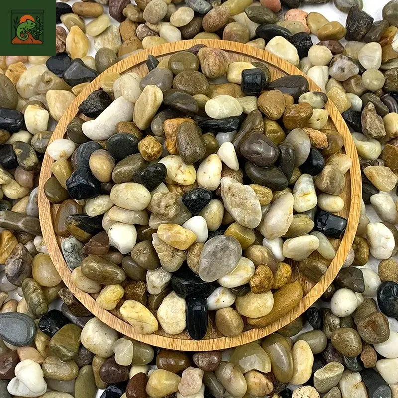 Gravier de sable à ruisseau naturel 500G, aménagement paysager des galets, accessoires d'aquarium, réservoirs de tortue, sable à fond décoratif 