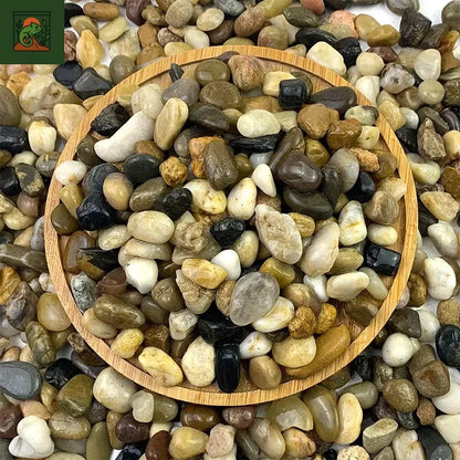 Gravier de sable à ruisseau naturel 500G, aménagement paysager des galets, accessoires d'aquarium, réservoirs de tortue, sable à fond décoratif 
