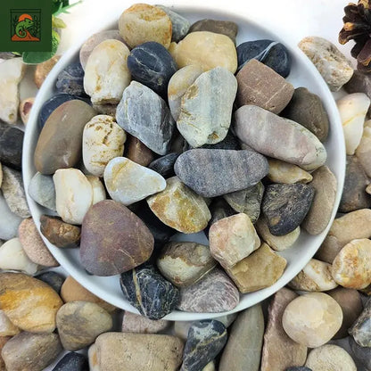 Gravier de sable à ruisseau naturel 500G, aménagement paysager des galets, accessoires d'aquarium, réservoirs de tortue, sable à fond décoratif 
