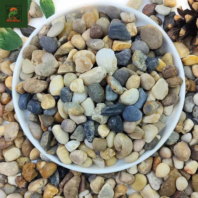 Gravier de sable à ruisseau naturel 500G, aménagement paysager des galets, accessoires d'aquarium, réservoirs de tortue, sable à fond décoratif 