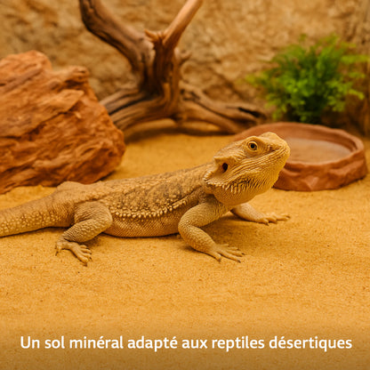 Sable pour Terrarium 