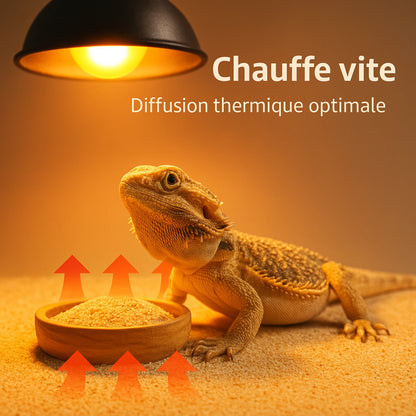 Sable pour Terrarium 