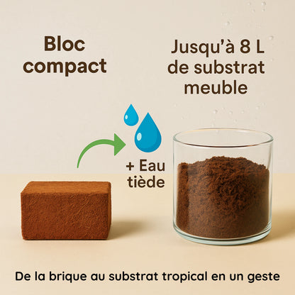 Coco Coir – Substrat en fibre naturelle de coco pour Terrarium 