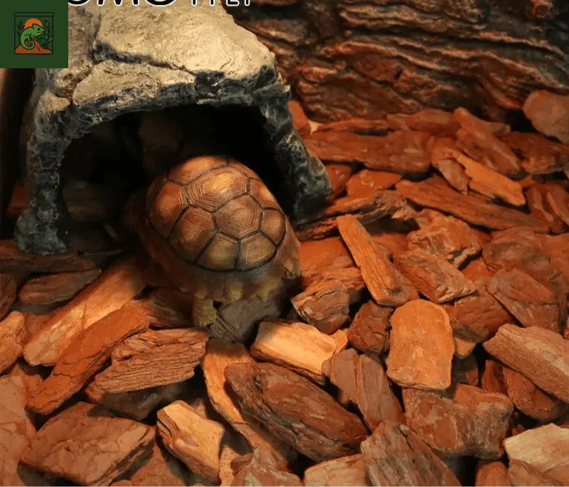 Substrat pour Terrarium 650g - LeTerrarium