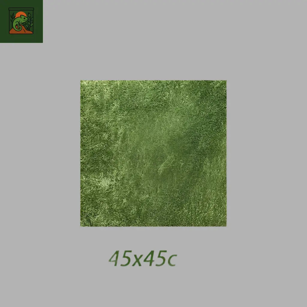 Tapis de Fond en Mousse Naturelle pour Terrarium 