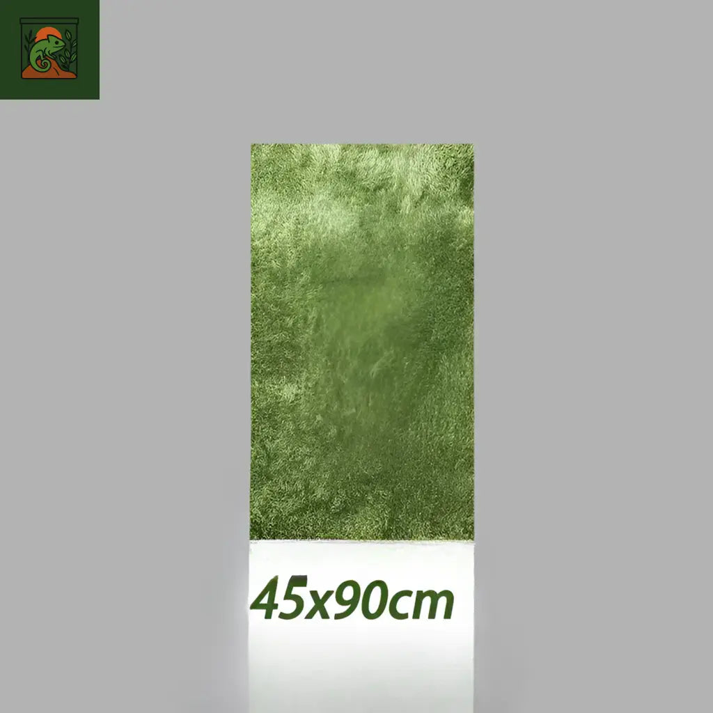 Tapis de Fond en Mousse naturelle pour Terrarium
