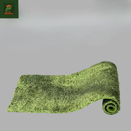 Tapis de Fond en Mousse naturelle pour Terrarium
