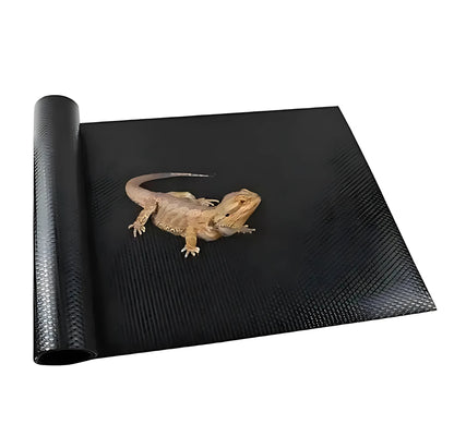 Tapis de Terrarium en EVA 