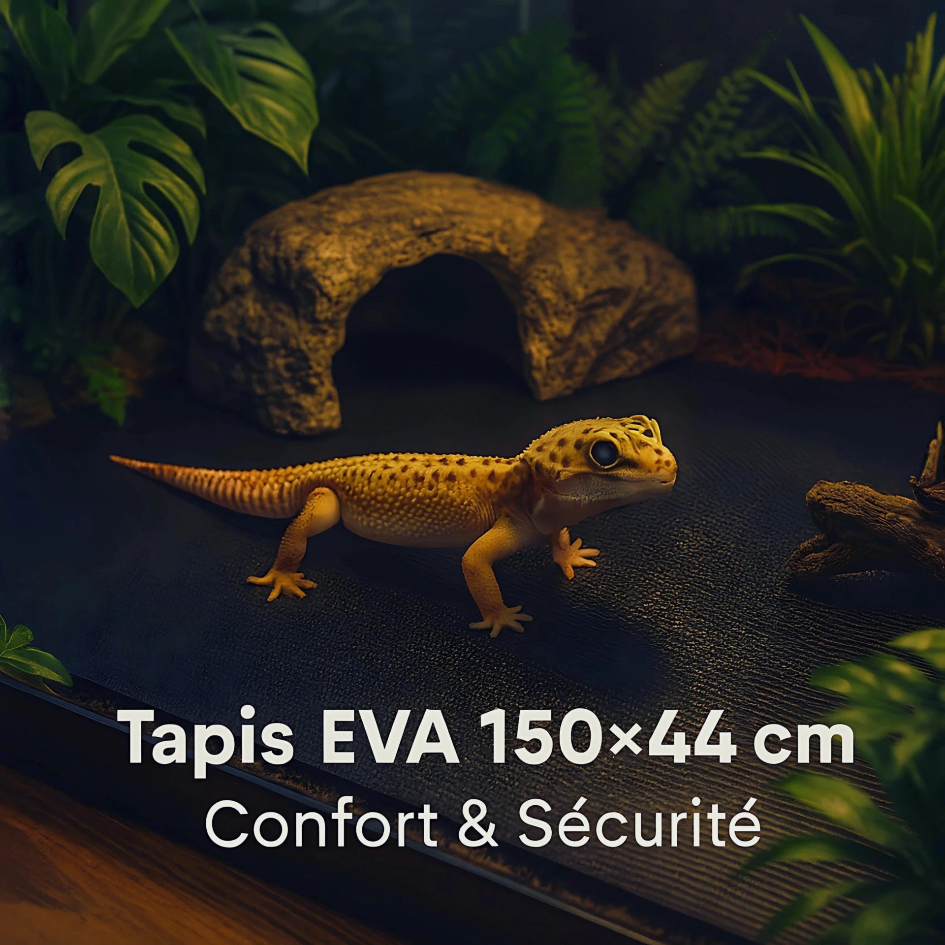 Tapis de Terrarium en EVA – Sol Antidérapant 