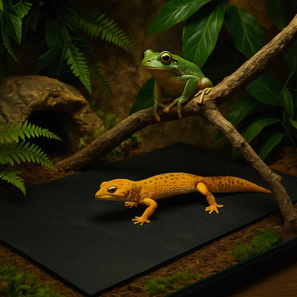 Tapis de Terrarium en EVA – Sol Antidérapant 
