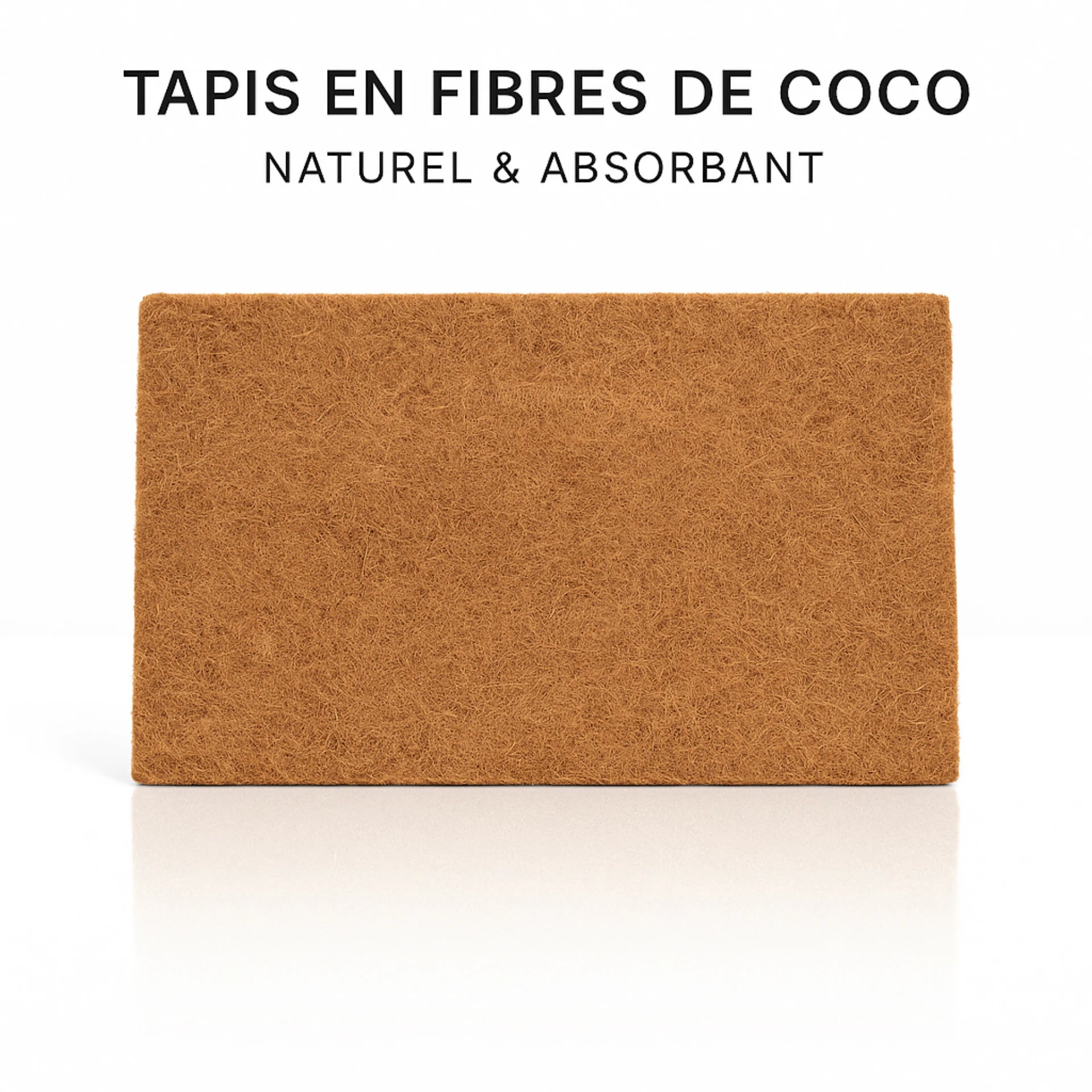Tapis de fibres de coco pour terrarium – Sol naturel et absorbant 