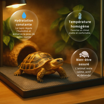 Tapis de sol 3-en-1 pour Terrarium 