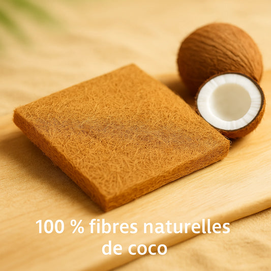 Tapis en Fibres de Coco Naturelles pour Terrarium 
