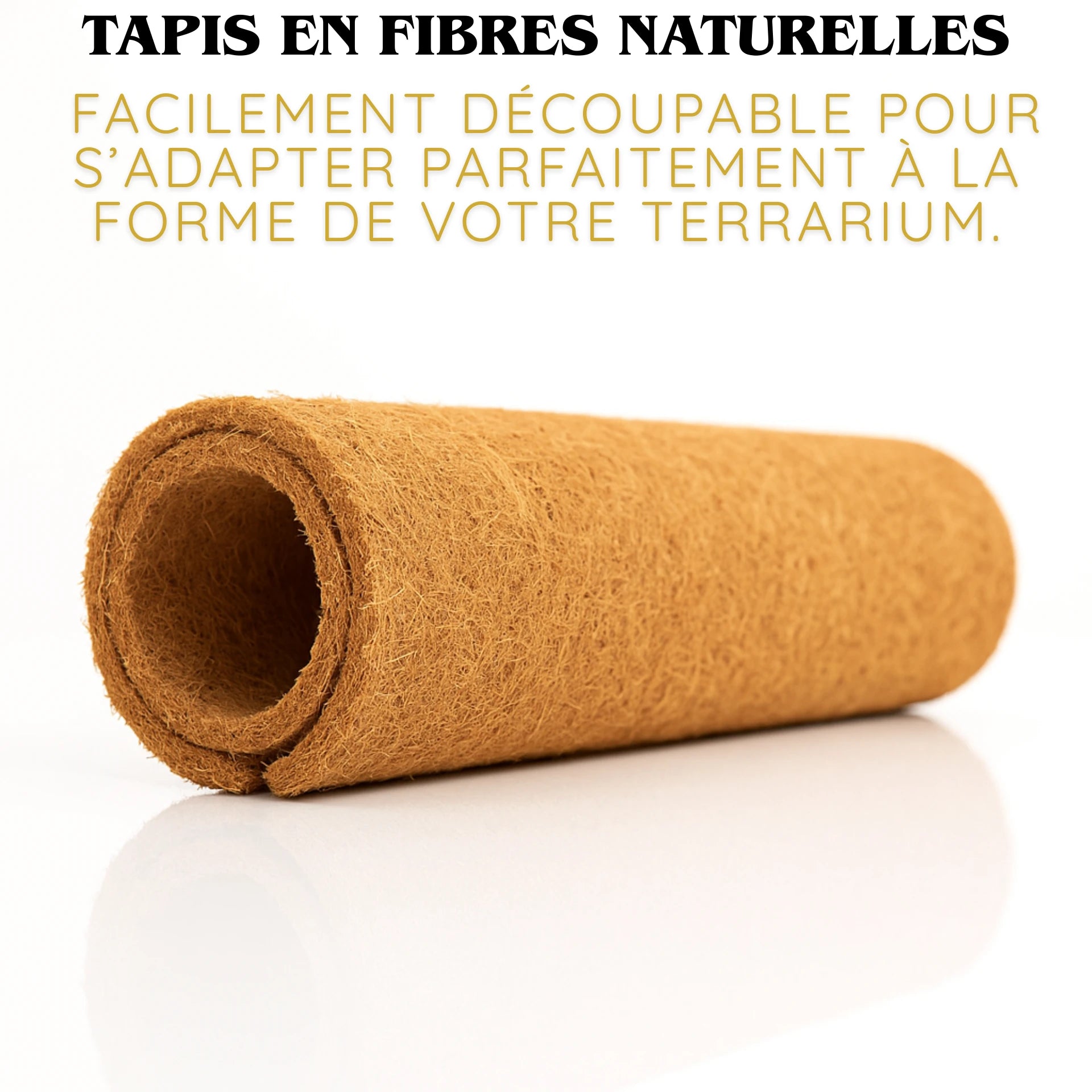 Tapis en Fibres de Coco Naturelles pour Terrarium 