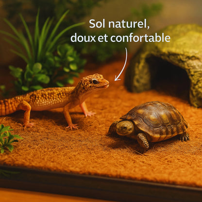 Tapis de fibres de coco pour terrarium – Sol naturel et absorbant 
