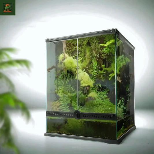 Terra en Verre pour Reptiles et Amphibiens – Habitat Tropical Sécurisé 