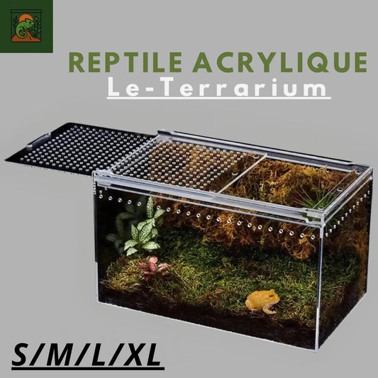 Terrarium Acrylique Anti-Évasion – Boîte d’Élevage Empilable Reptiles 