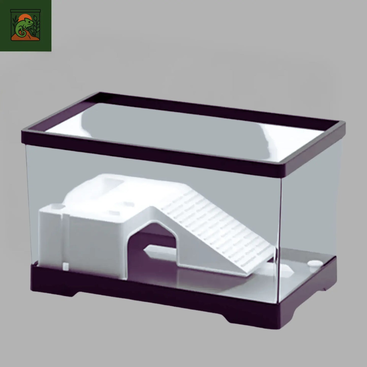 Terrariums Transparent pour tortue 