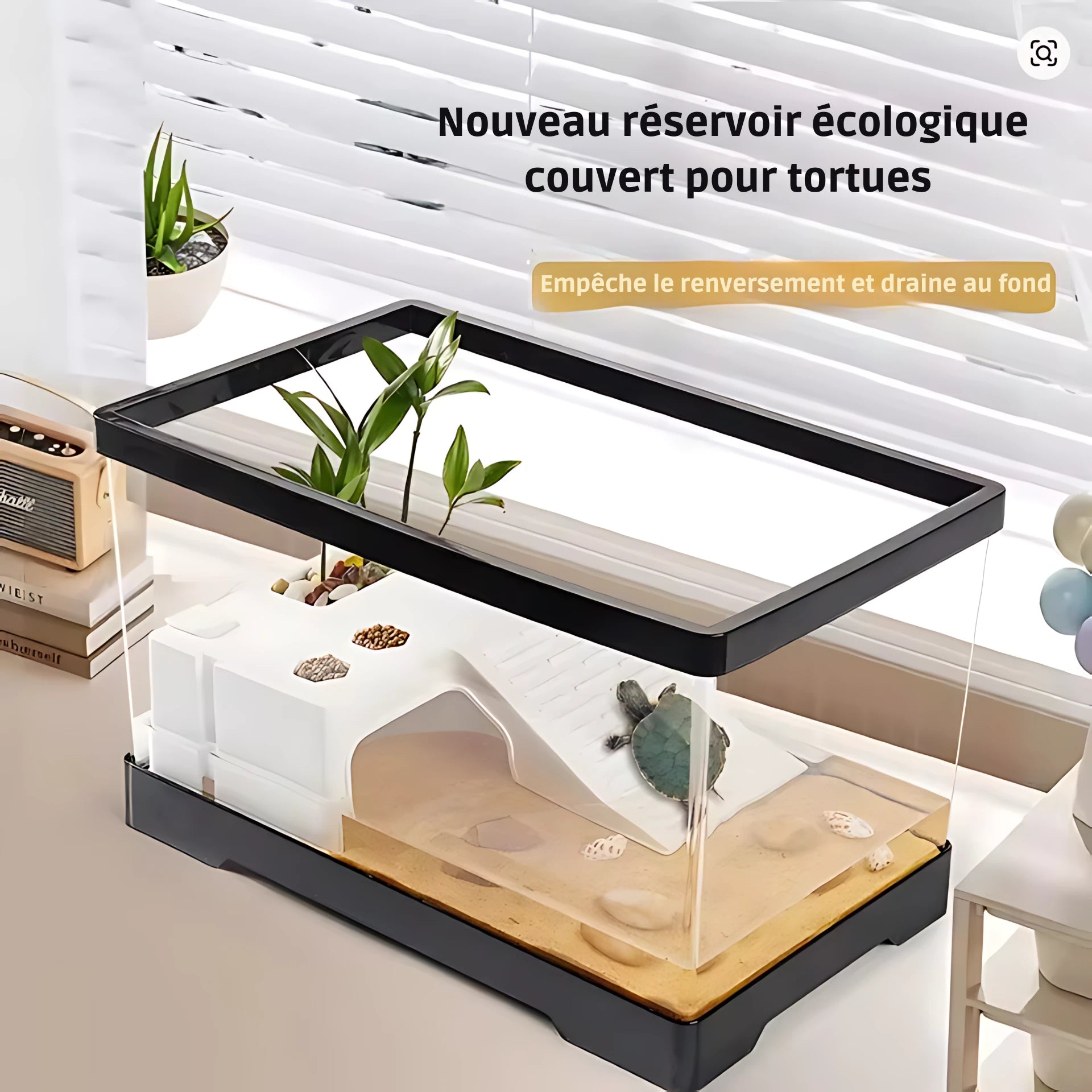 Terrariums Transparent pour tortue 