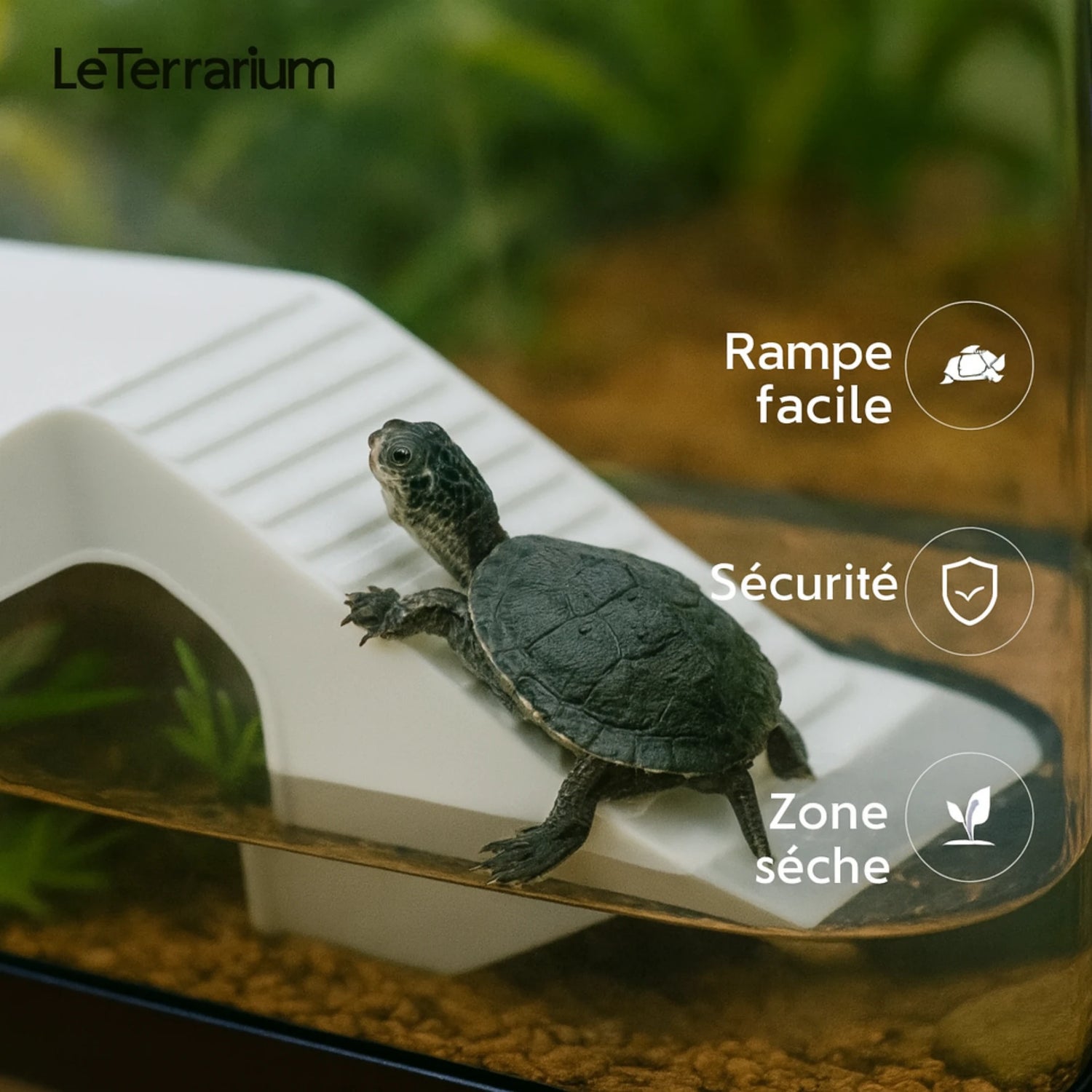 Terrarium Acrylique Tortue – Avec Rampe et Drainage Intégré 