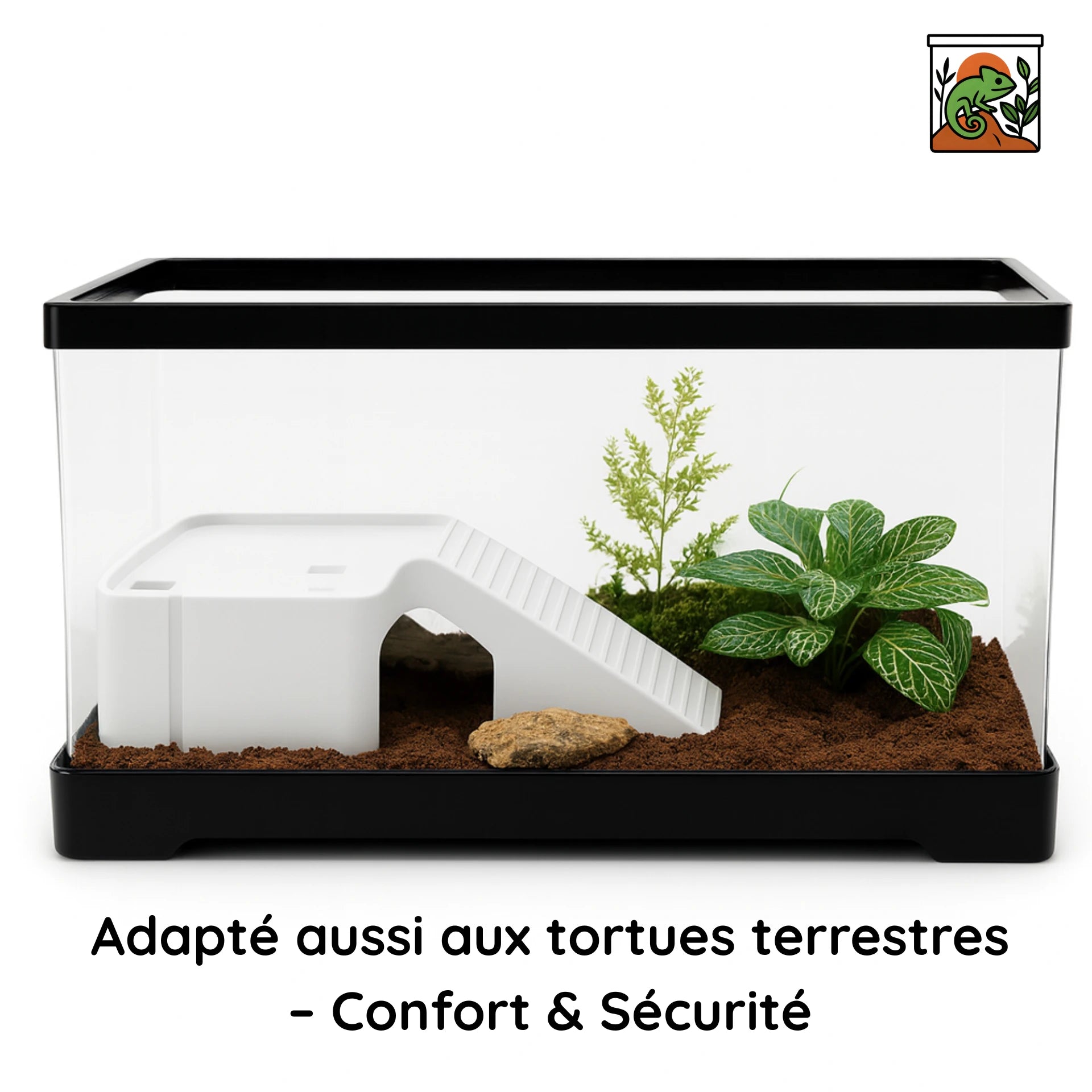 Terrarium Acrylique Tortue – Avec Rampe et Drainage Intégré 