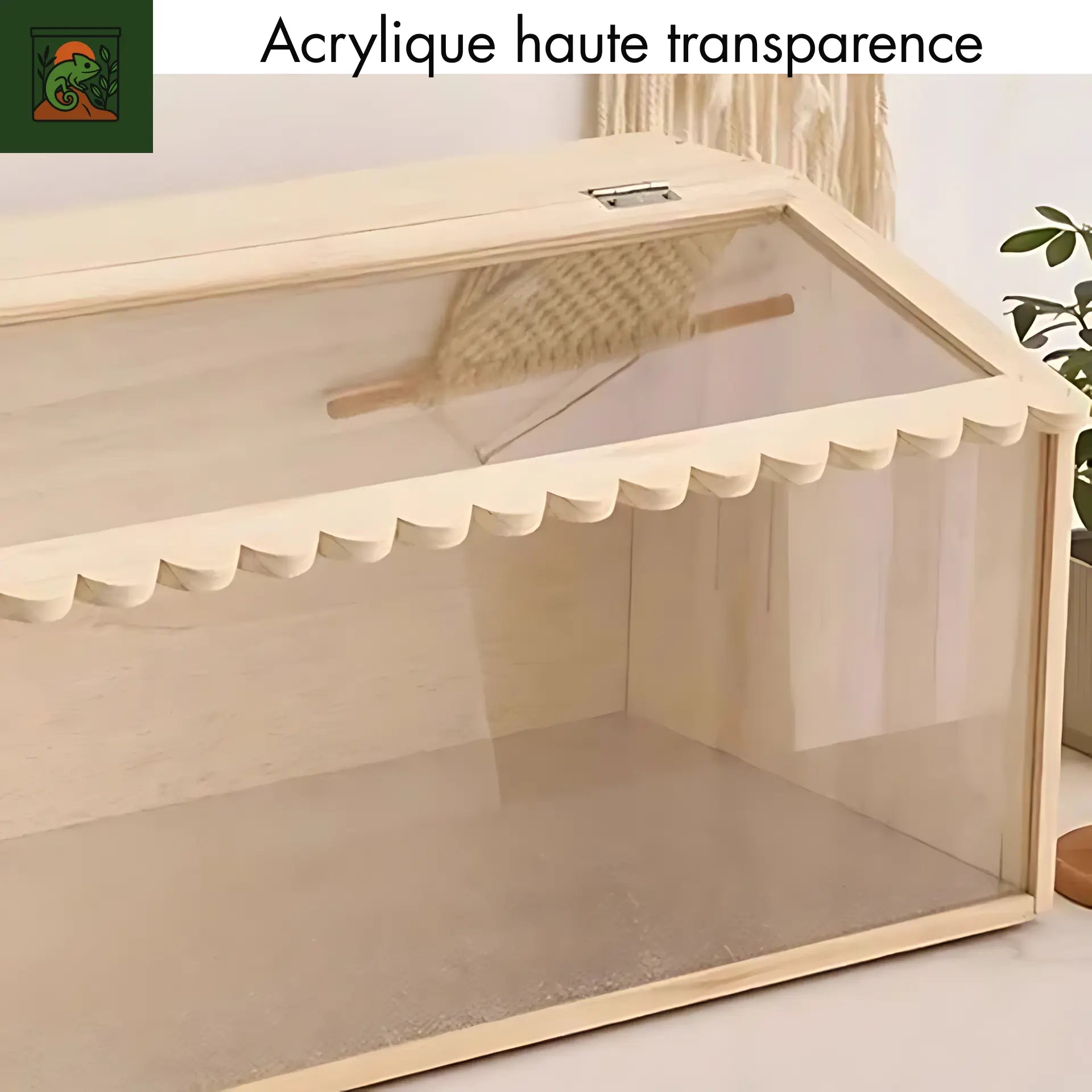 Niche de Lézard en Bois Massif Acrylique, Grande Boîte d'Incubateur de Reptile, Tarantule, Araignée, Terrarium, Hamster, Gecko 