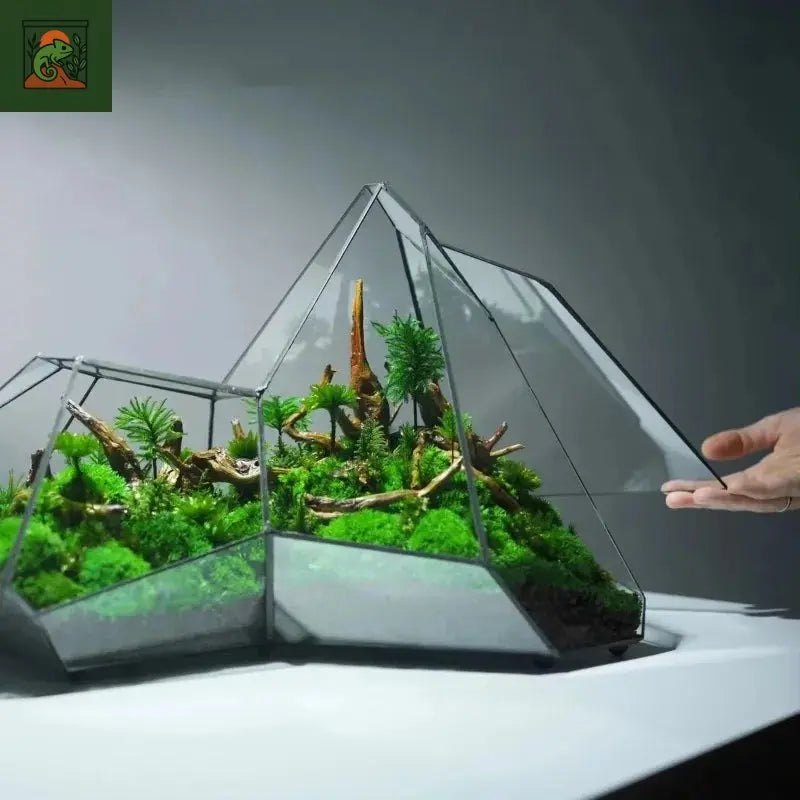 Micro Vase en verre de paysage, Terrarium de forêt tropicale, jardinière de mousse, Vase écologique, décoration de maison, Vase hydroponique géométrique en verre pour salle de fleurs 