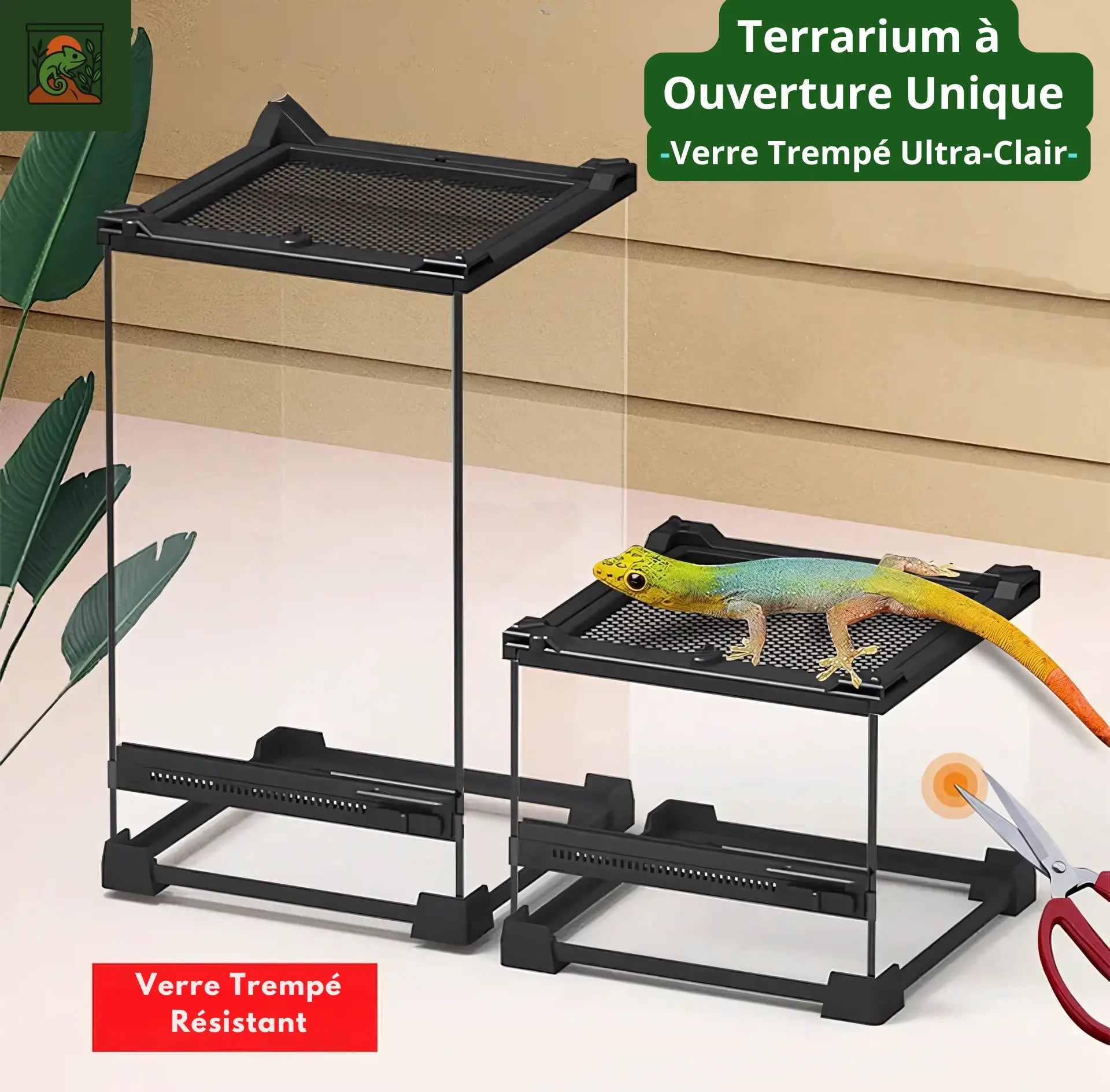 Terrarium Boîte d’Élevage 