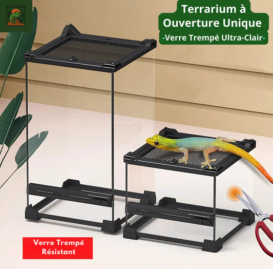 Terrarium Boîte d’Élevage 