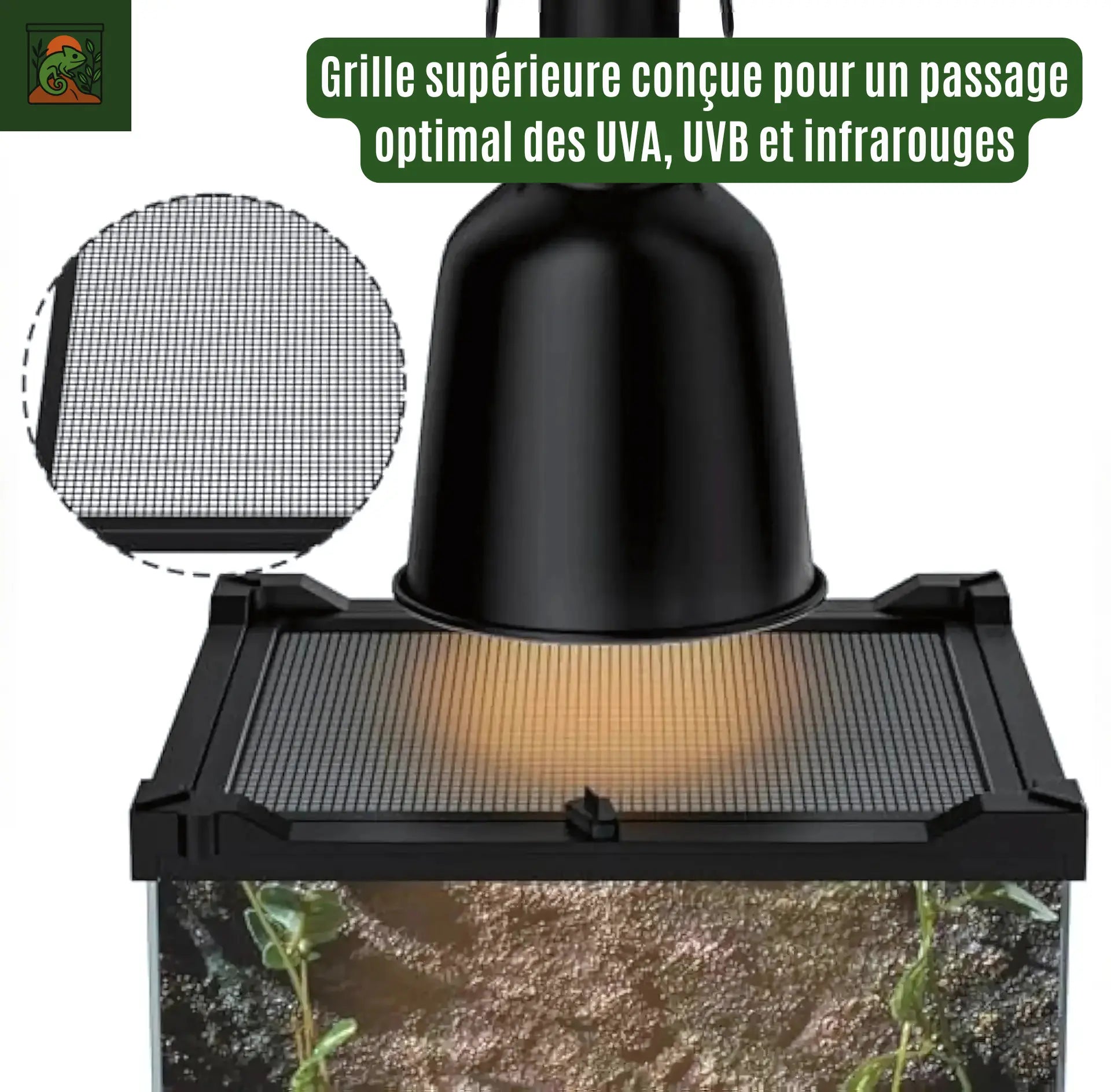 Terrarium Boîte d’Élevage 