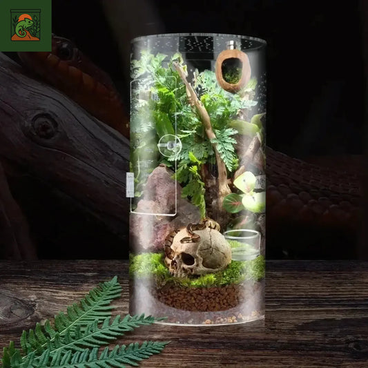 Terrarium Cylindrique en Acrylique – Habitat Reptiles & Insectes 